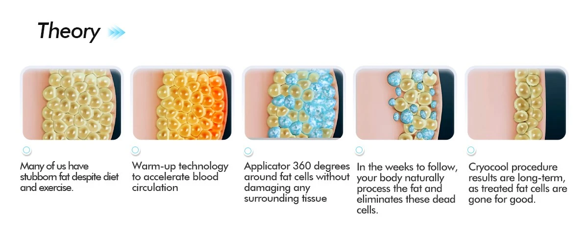 Cryolipolysis Freezing Fat For Weight Loss Machine Cryolipolysis Freezing Fat For Weight Loss Machine